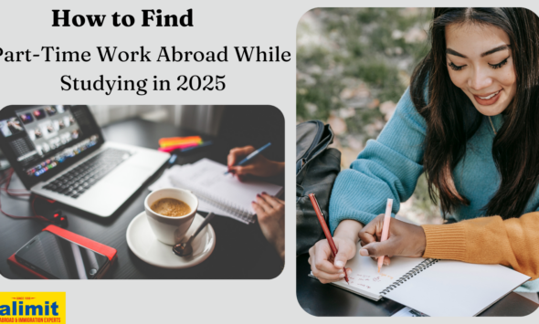 Top Study Abroad Courses (3)